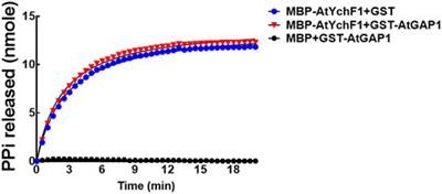 Co-crystalization reveals the interaction between AtYchF1 and ppGpp